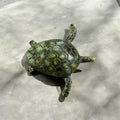 Turtle fridge magnet.