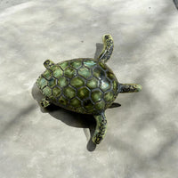 Turtle fridge magnet.