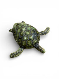 Turtle fridge magnet.