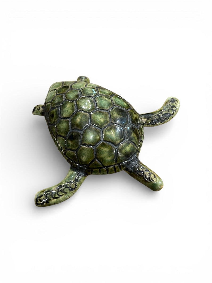 Turtle fridge magnet.