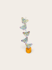 Iron Butterfly