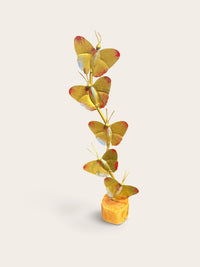Iron Butterfly