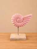 Ocean Shell Wing