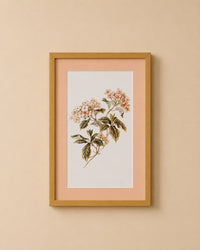 Handpainted Floral Pink Frames (each)