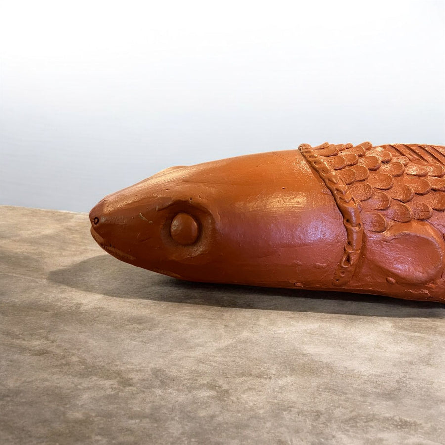 Terracotta Eel