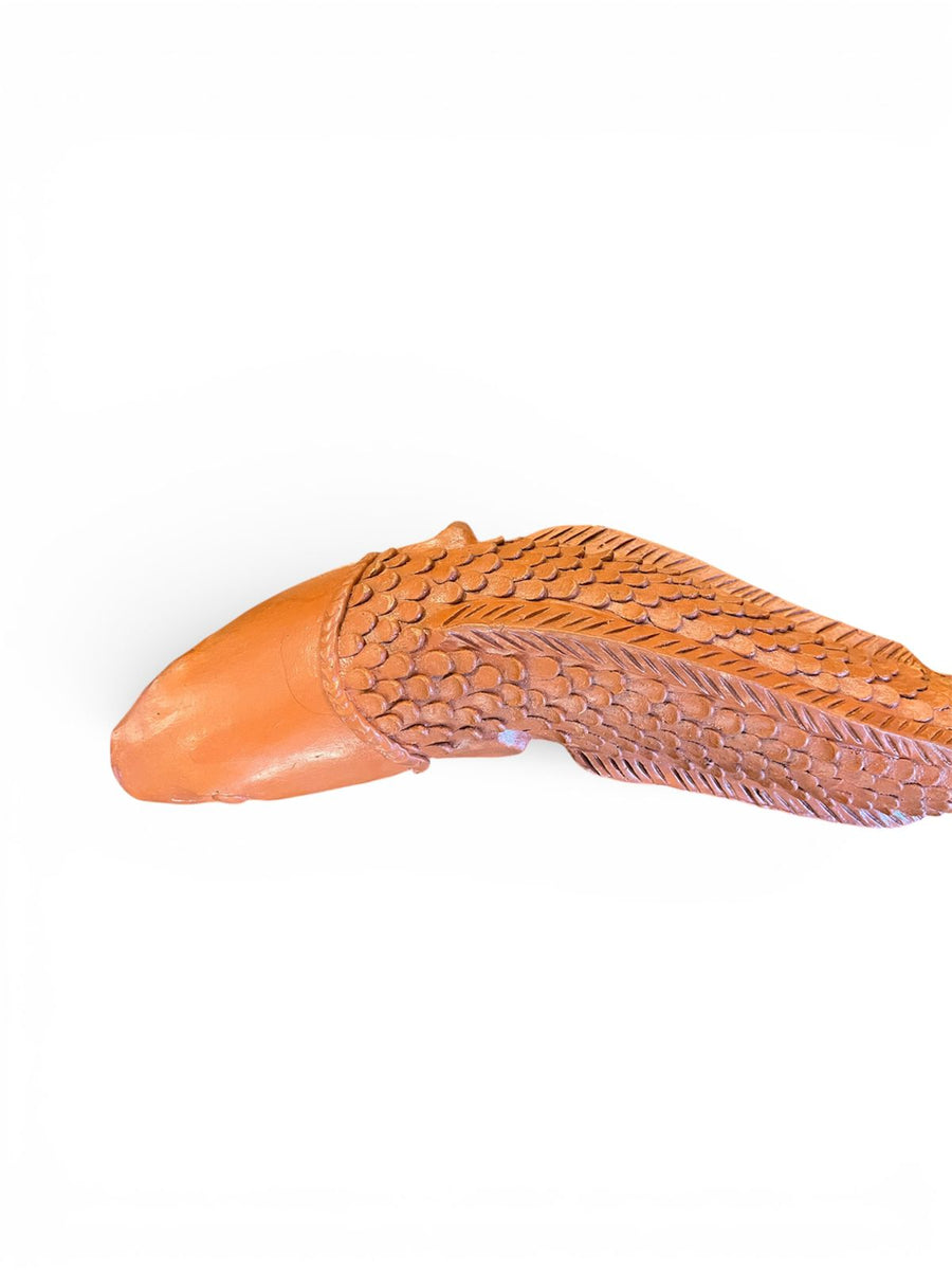 Terracotta Eel