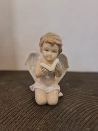 Set Of 2 Book Reading  Angels