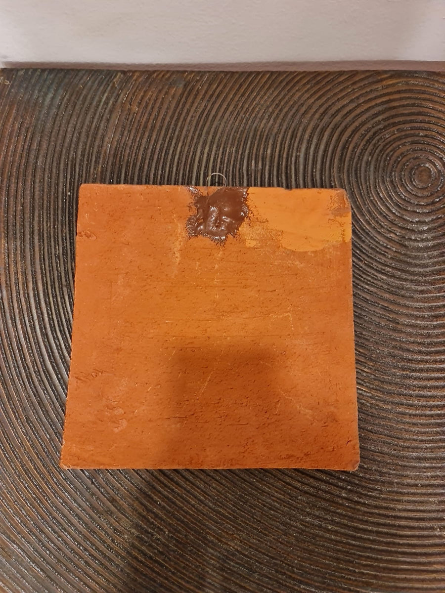 Terracotta wall Plate