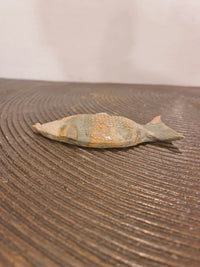 Medium Fish