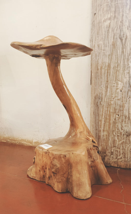 MUSHROOM TEAK ART