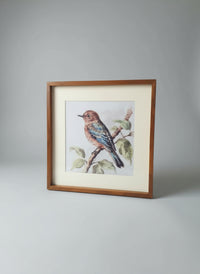 Bird Frame