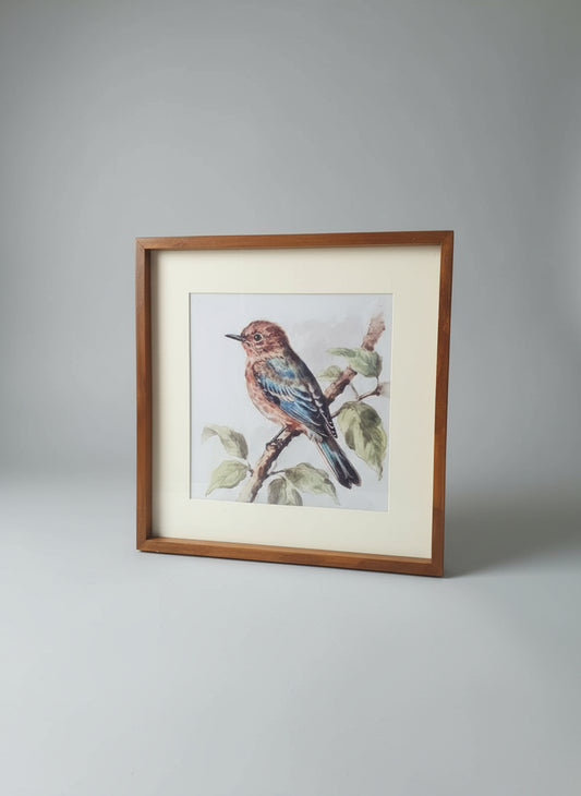 Bird Frame