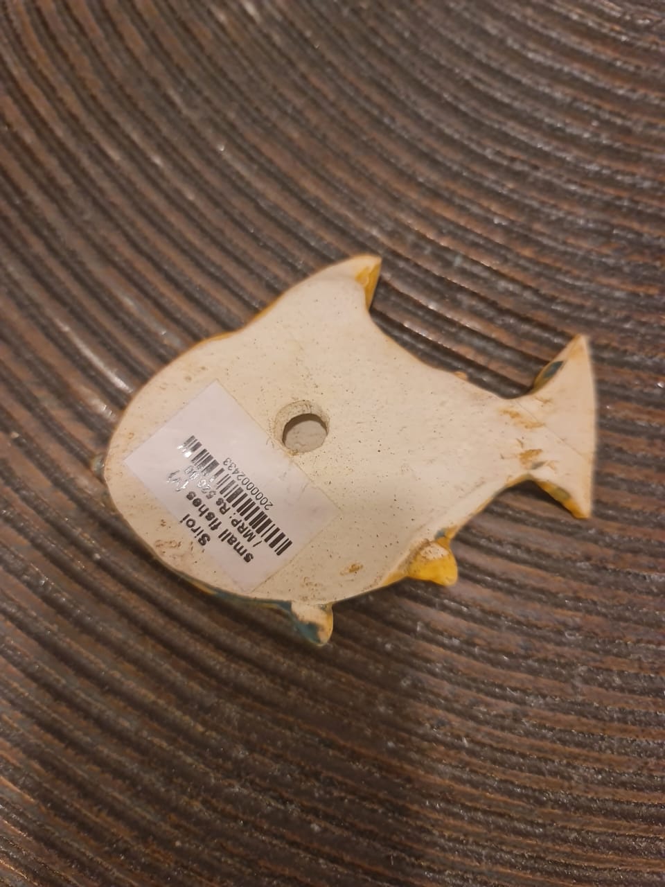 Small Fish Hanging