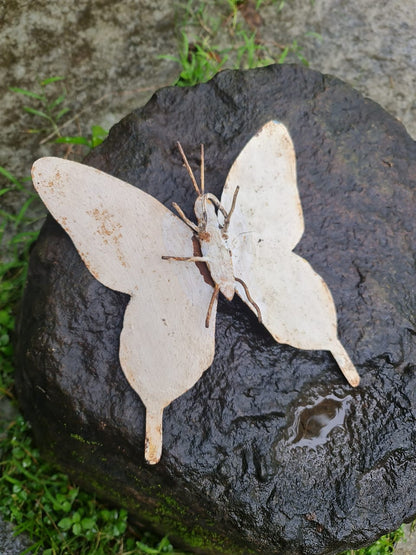 Iron Wall Hanging Butterfly Small