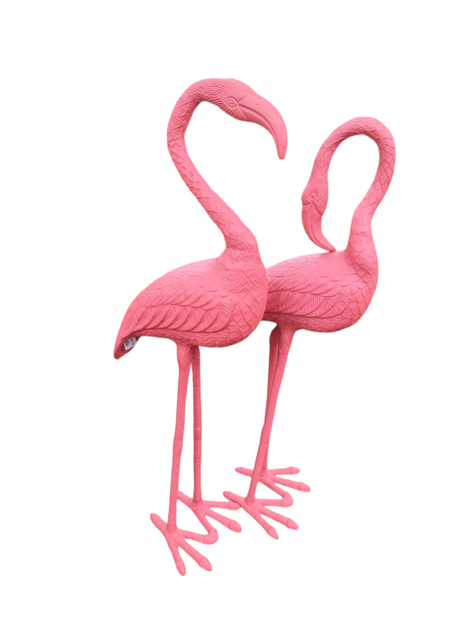 Flamingo Pair