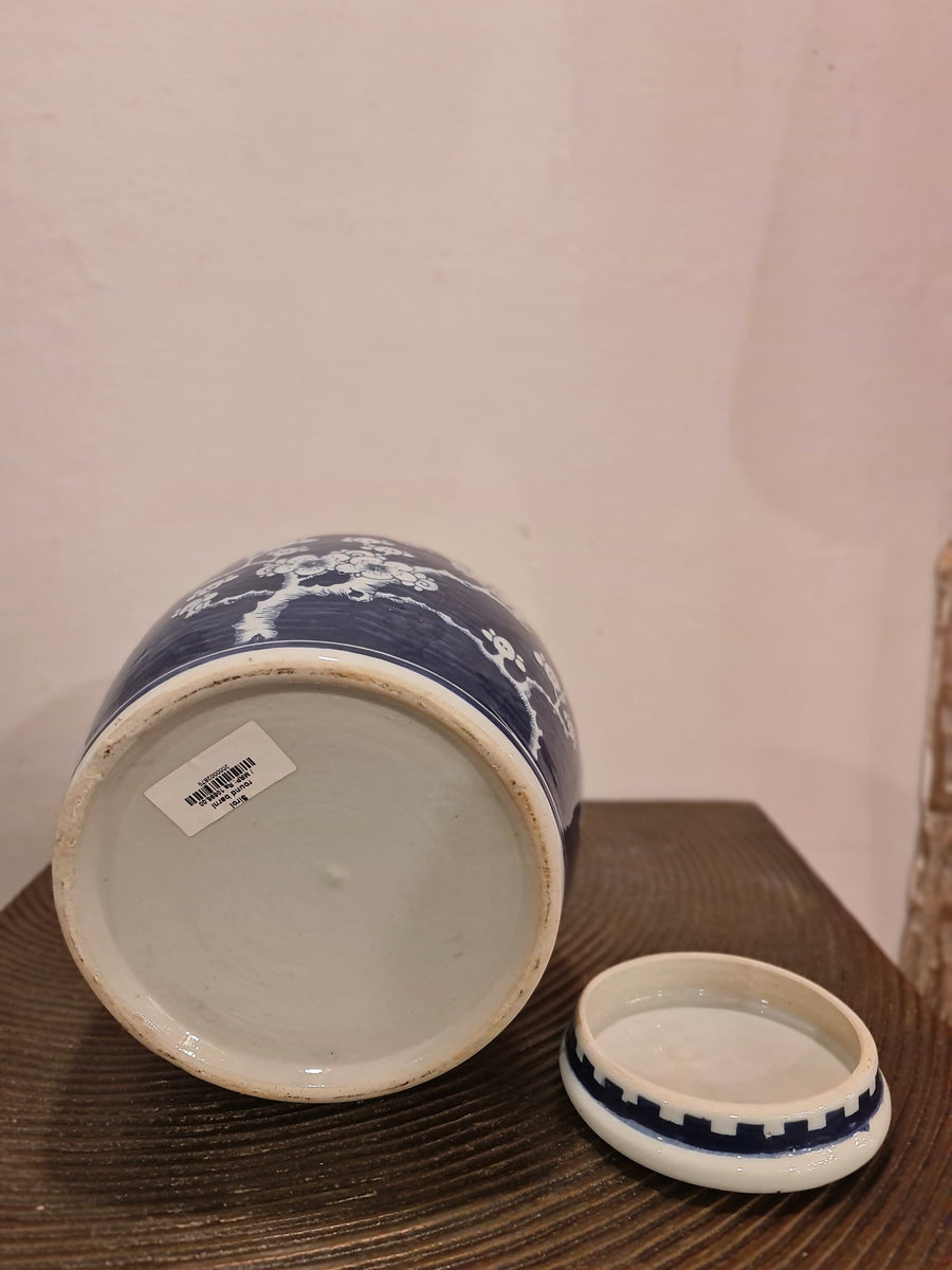 Pot