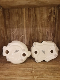 Cat Pair