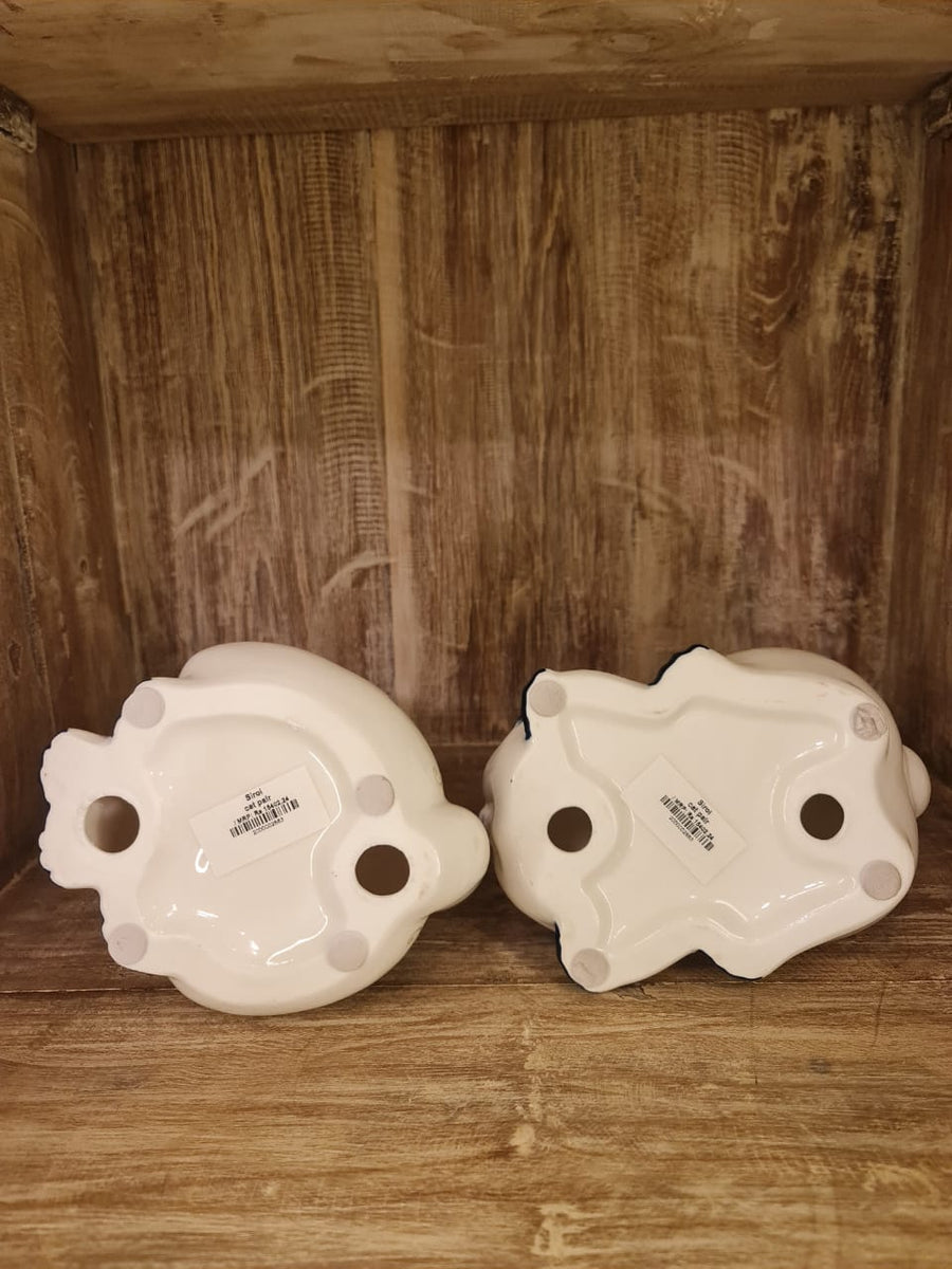 Cat Pair