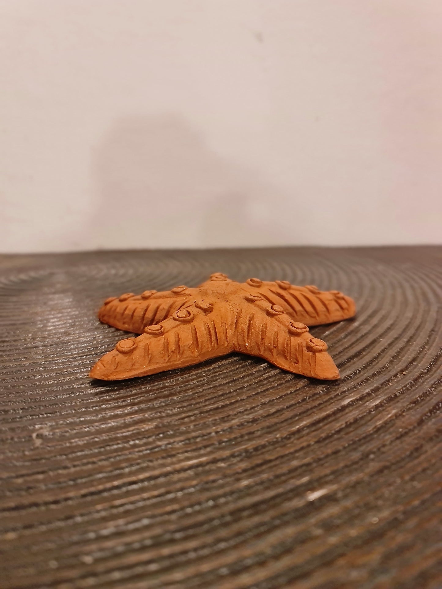 Terracotta Starfish Wall Decor
