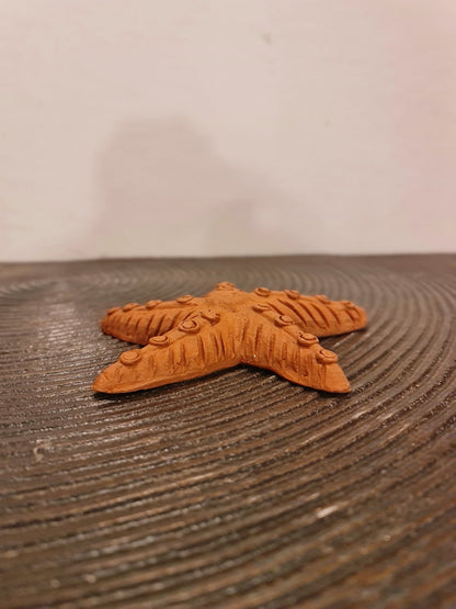 Terracotta Starfish Wall Decor