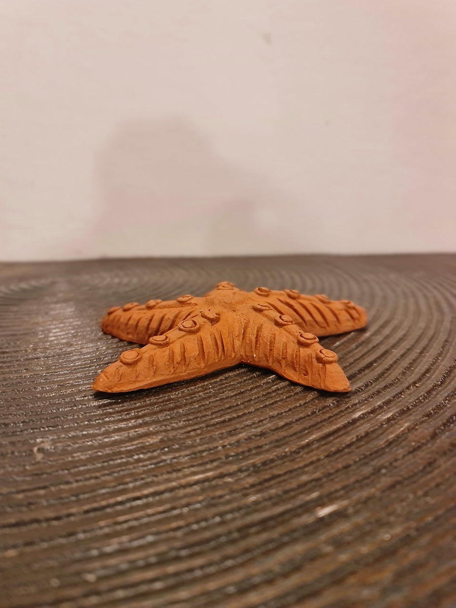 Terracotta Starfish Wall Decor