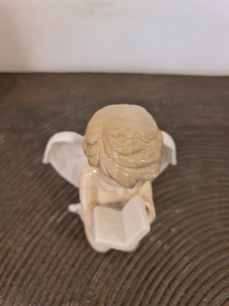 Set Of 2 Book Reading  Angels