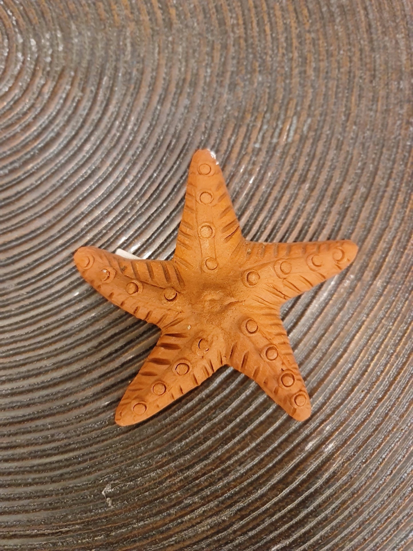 Terracotta Starfish Wall Decor