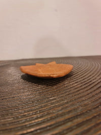 Terracotta Fish