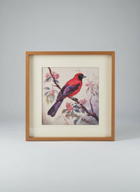 Bird Frame