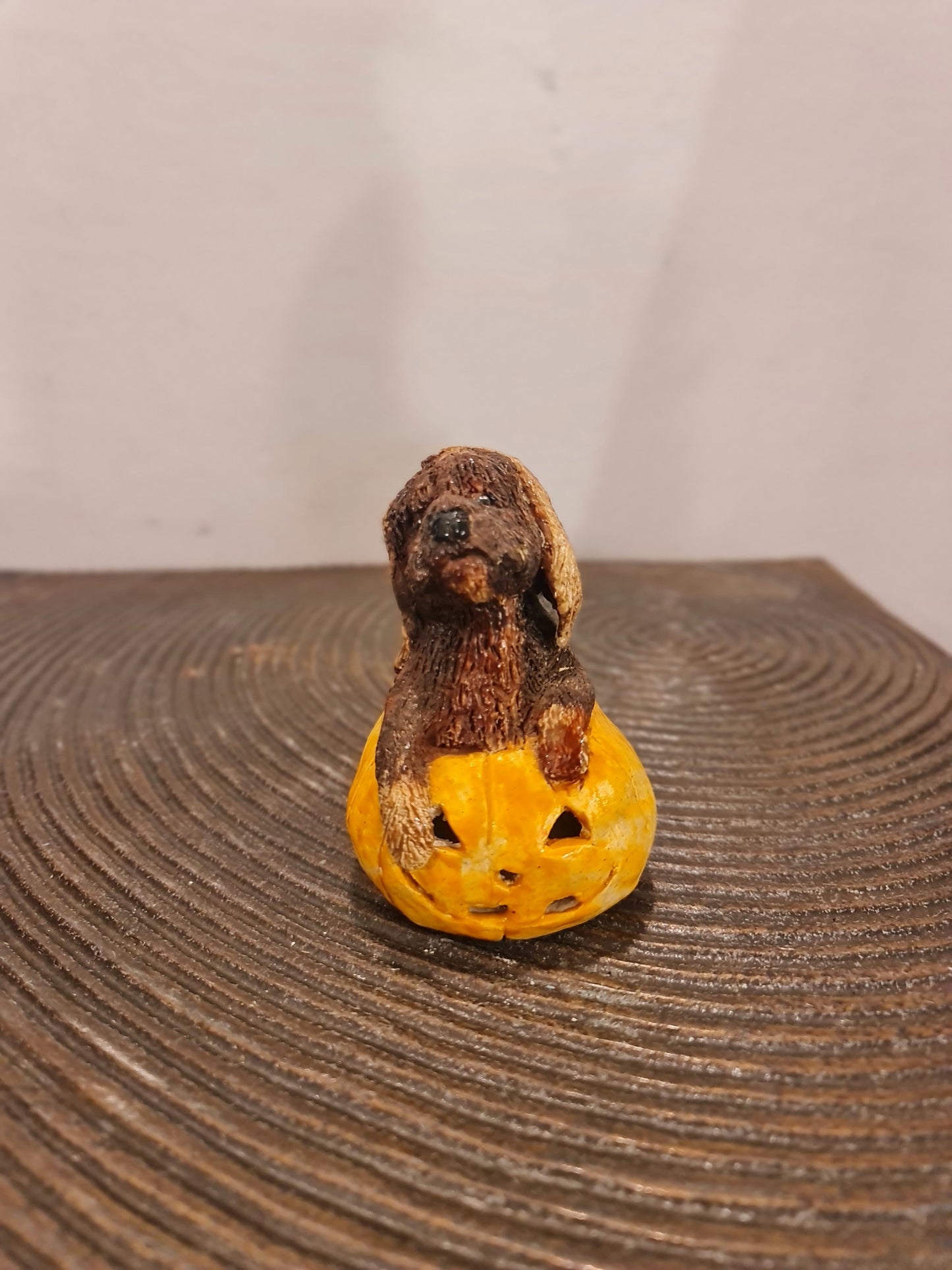 Pumpkin Dog