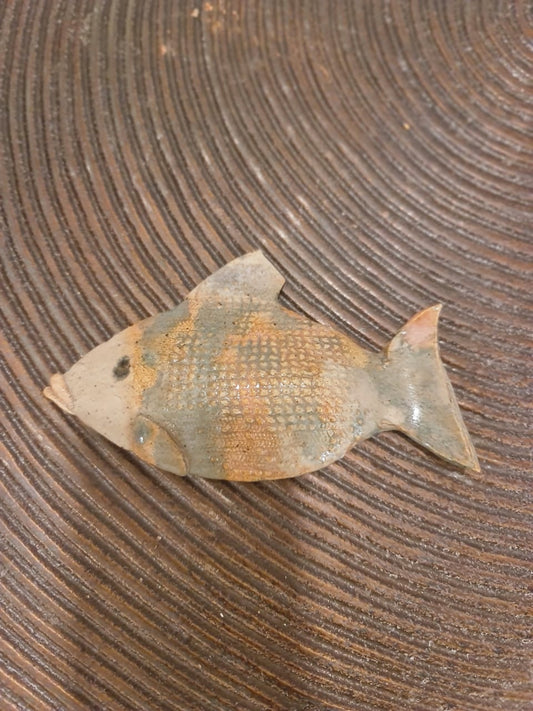 Medium Fish