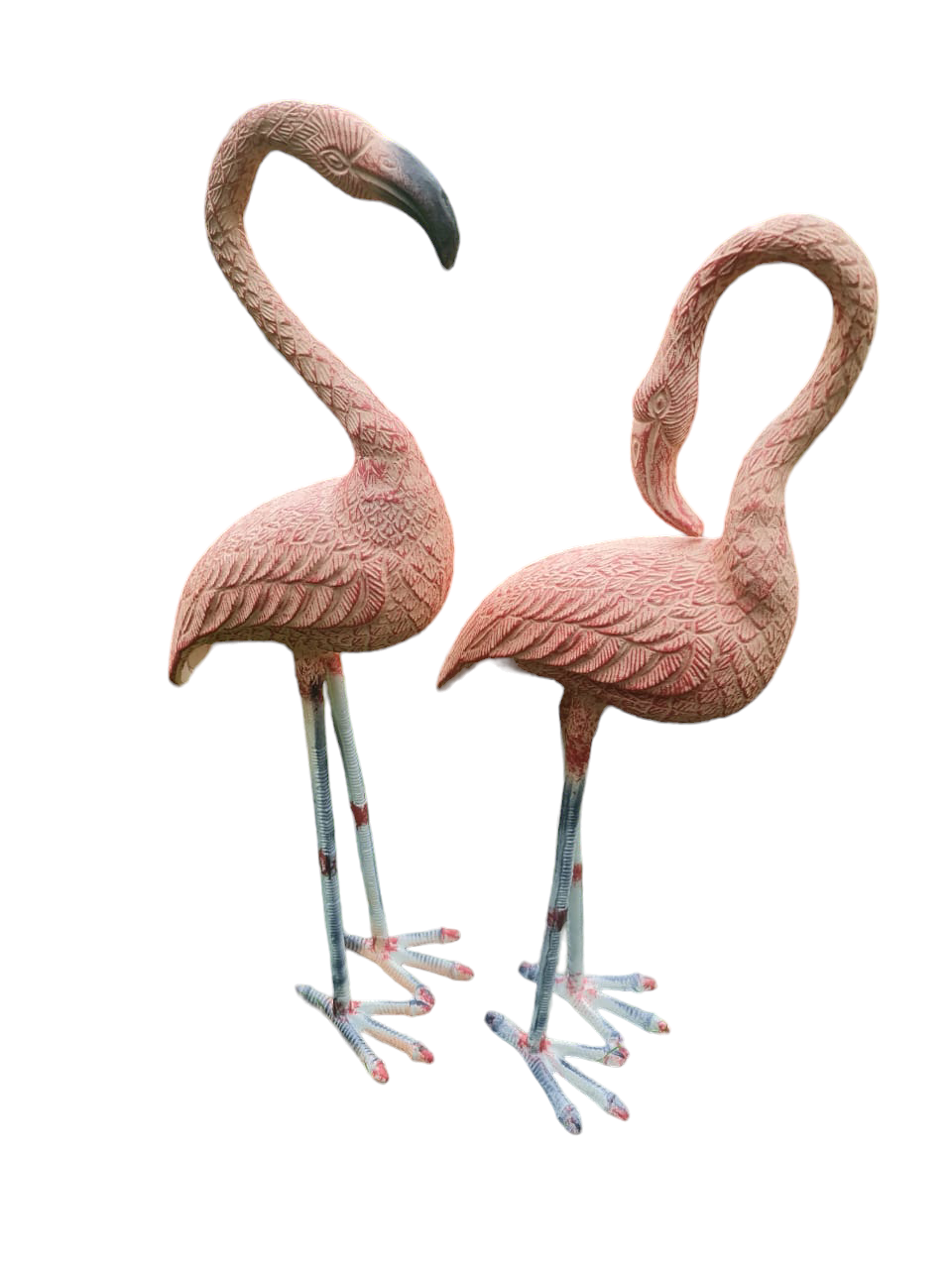 Flamingo Pair