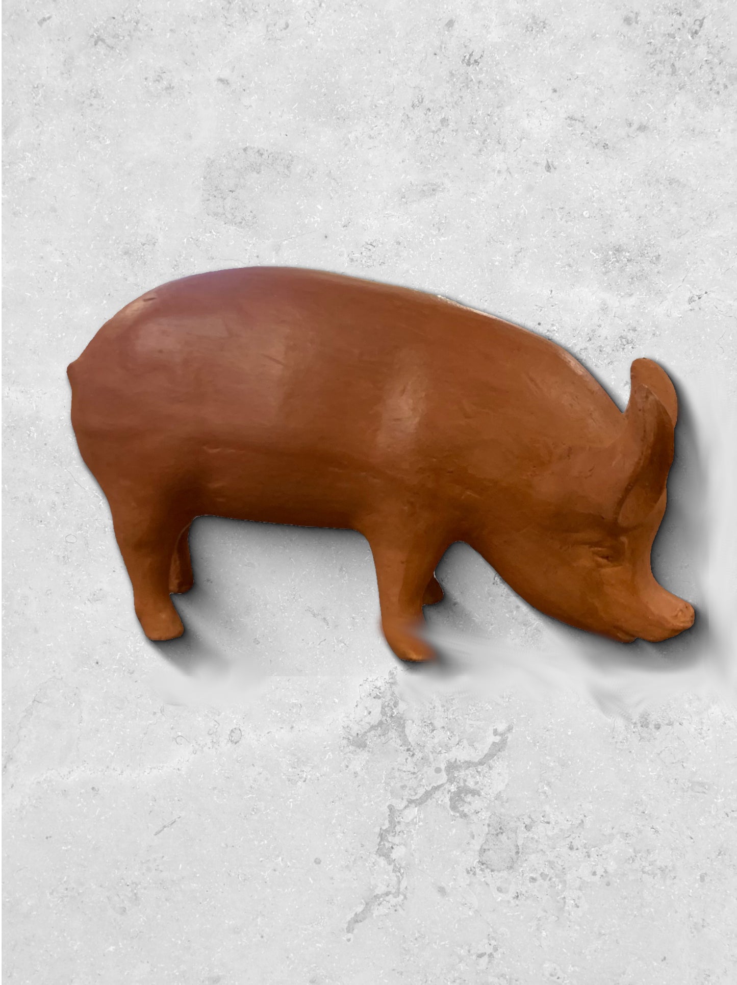 Teracotta Pig