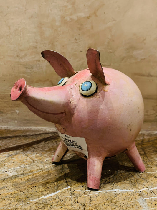 Iron Piggy Bank